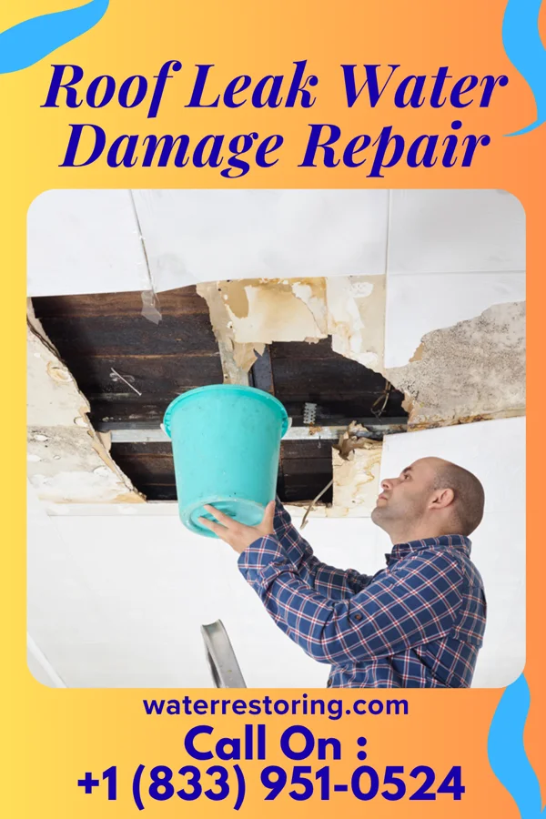 Roof Leak Water Damage Repair in Norton Center, MA