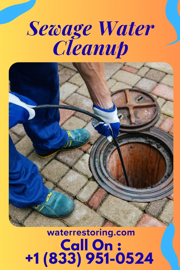 Sewage Water Cleanup in Norton Center, MA