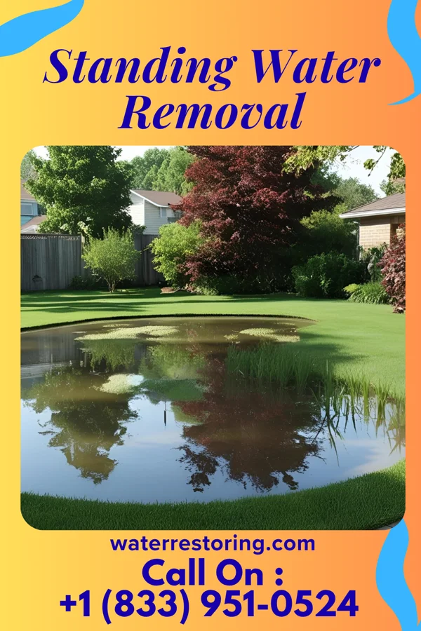 Standing Water Removal in Norton Center, MA